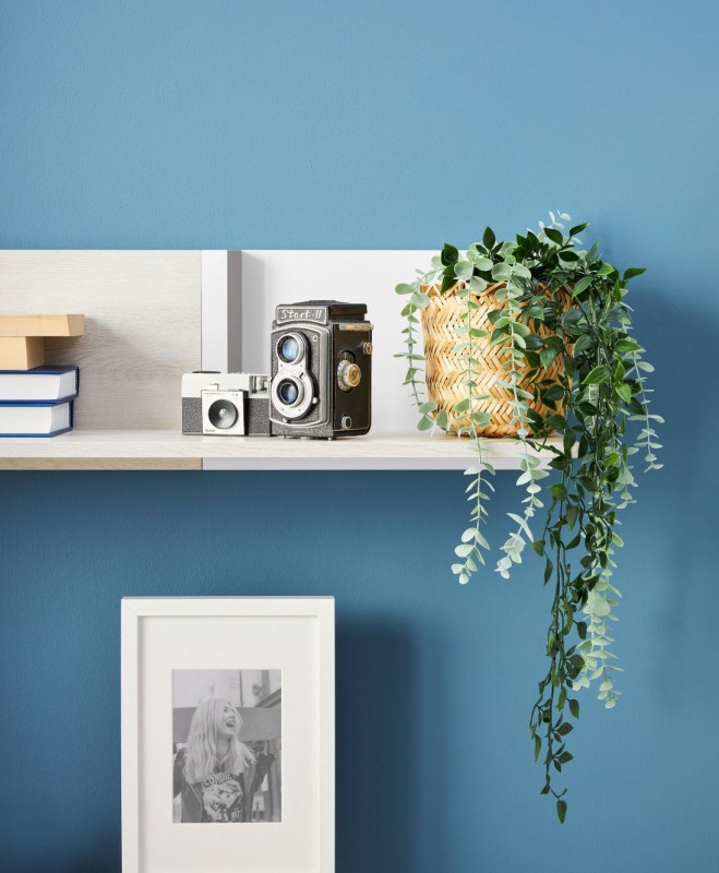 Detal białej półki Remo z rośliną w wiklinowym osłonce oraz aparatami fotograficznymi w stylu vintage na tle błękitnej ściany