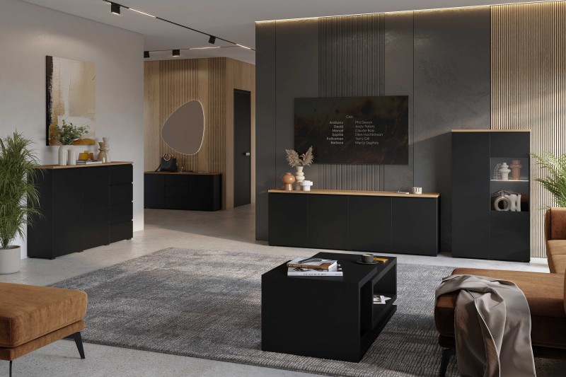 MODO 24W5OJ..1 SALON POKÓJ DZIENNY CZARNY DĄB ARANŻACJA.jpg