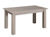 T32 - dab sonoma Stolik Kawowy T 32 Do Salonu Nowoczesny Dąb Sonoma Ława Pokoju Poczekalni Gabinetu Prostokątny Prosty Szerokość 102 Wysokość 62 cm.jpg