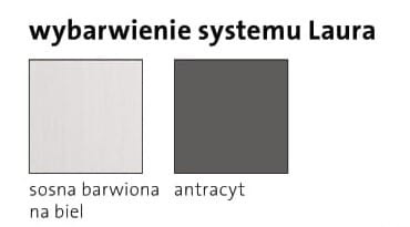 Zesta Mebli Laura Kolor Sosna Barwiona na BIel Antracyt.jpg