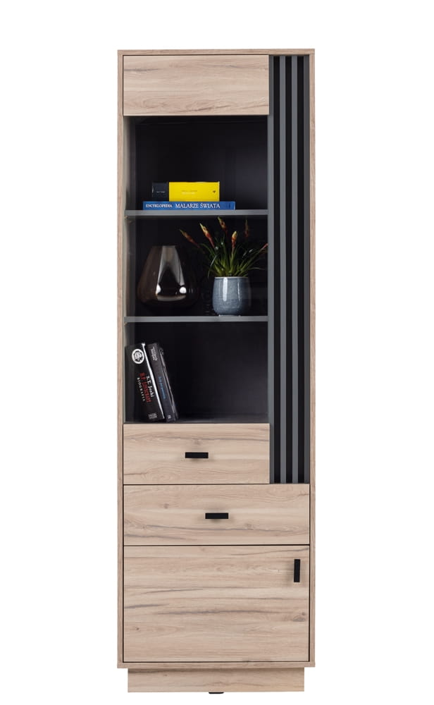 Regał ALLMO jednodrzwiowy z dwiema szufladami dąb estana / antracyt AL3 Tradycyjna Do salonu Do pokoju młodzieżowego
