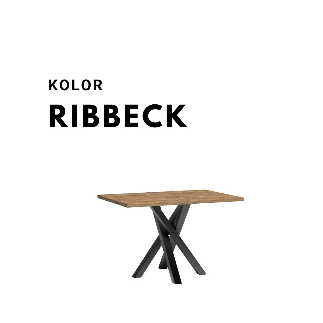 STOL-KALI-RIBBECK 120 160.webp