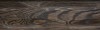 Jesion ciemny