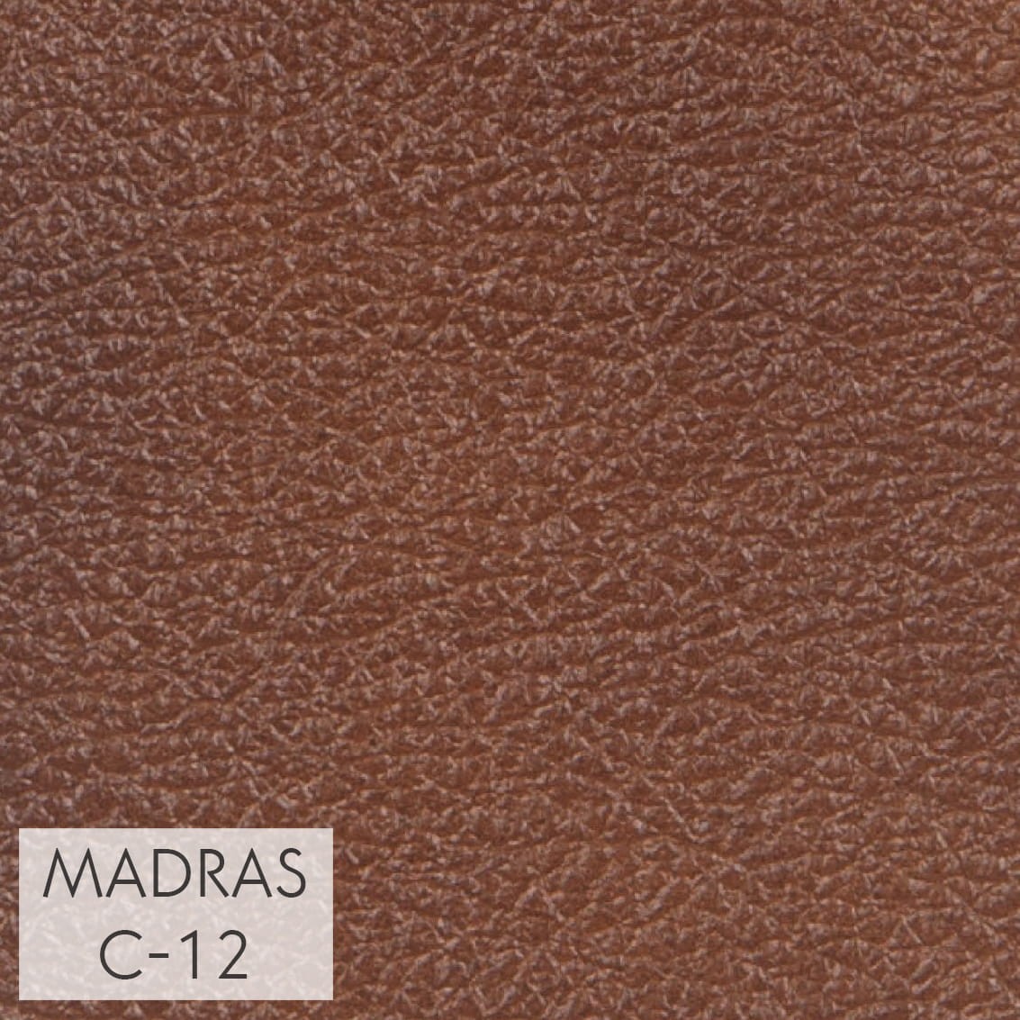 MADRAS_C-12_GR_1.jpg