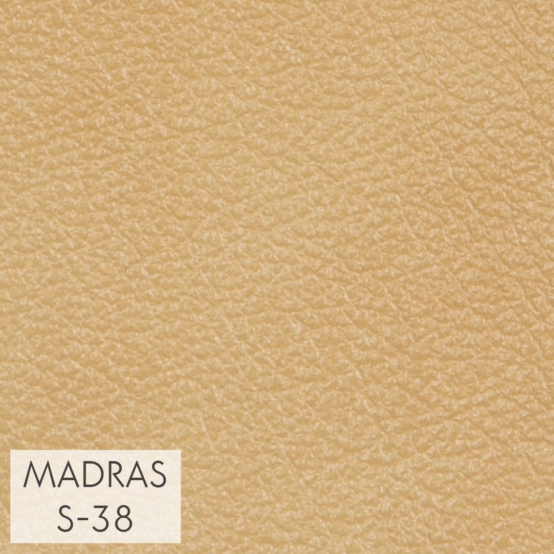 MADRAS_S-38_GR_1.jpg