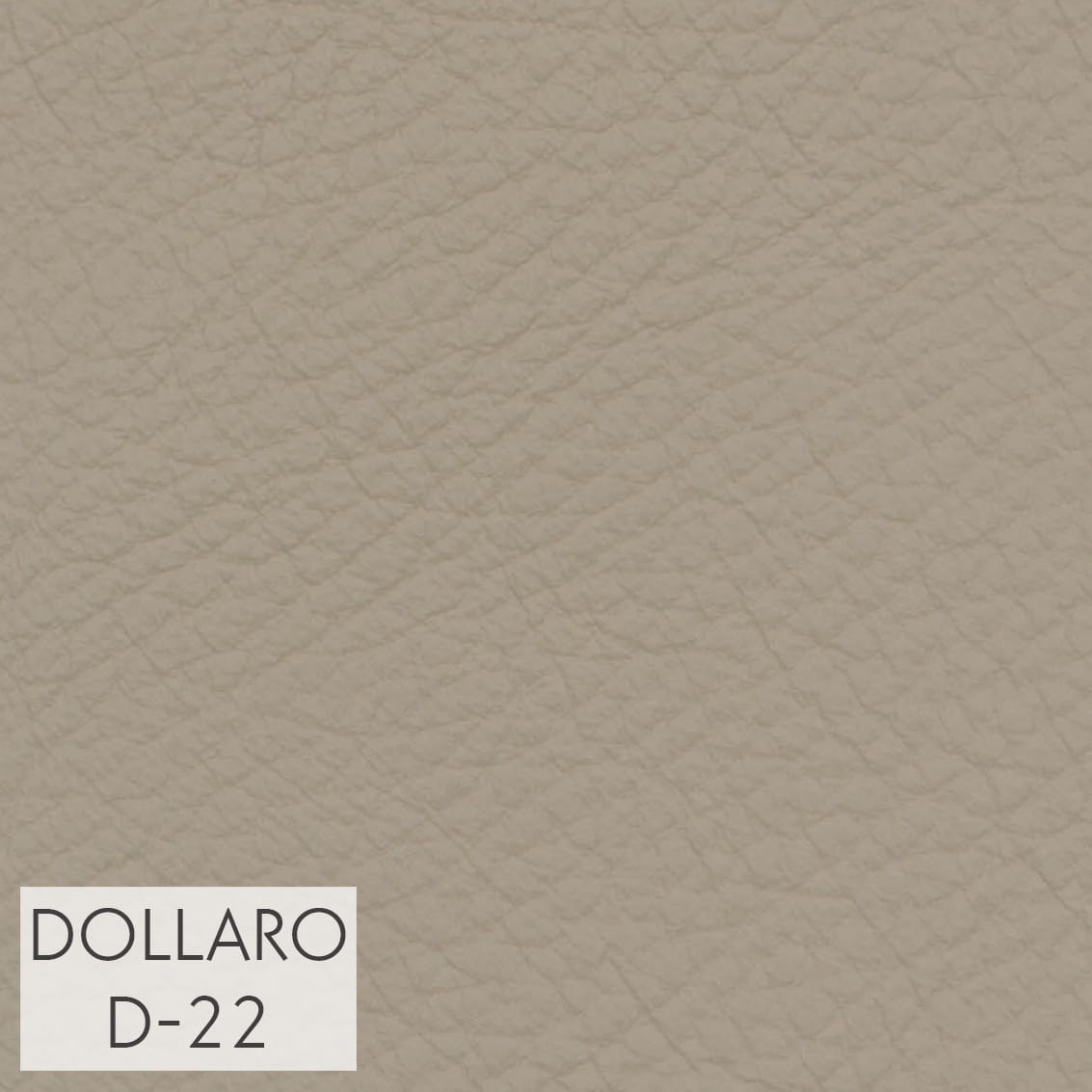 DOLLARO_D-22_GR_3.jpg