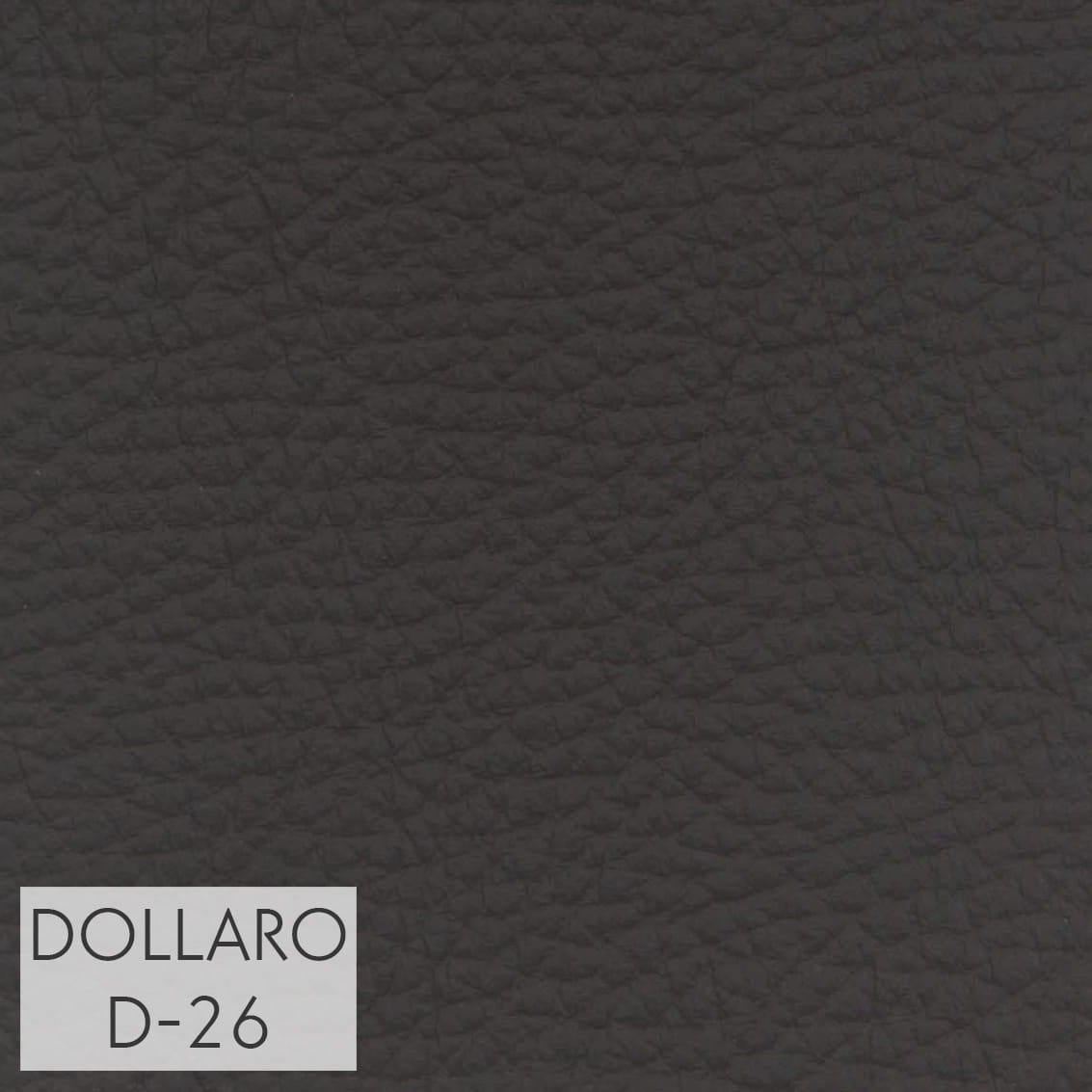 DOLLARO_D-26_GR_3.jpg