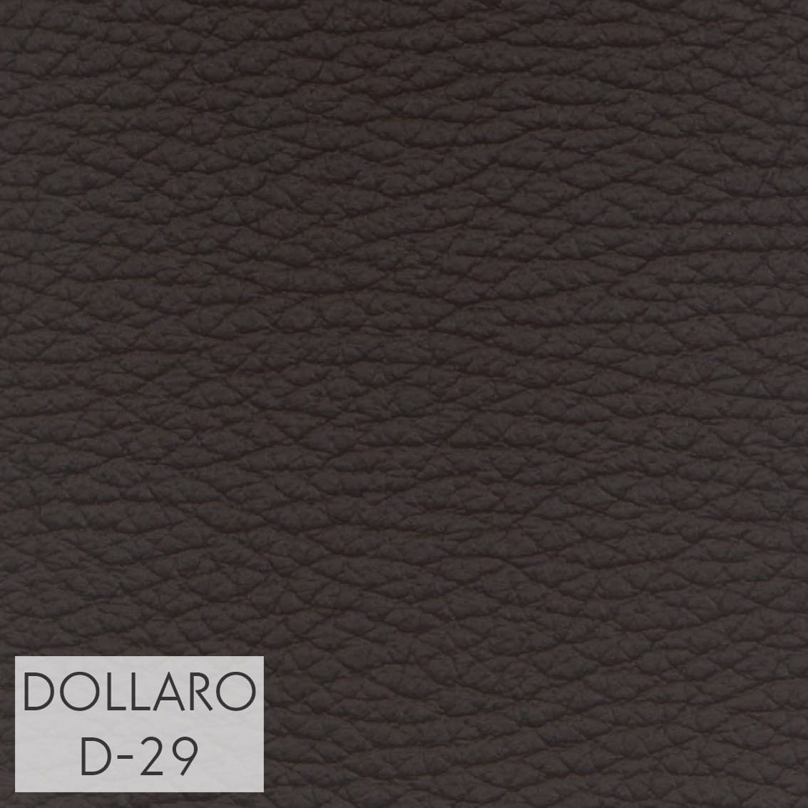 DOLLARO_D-29_GR_3.jpg