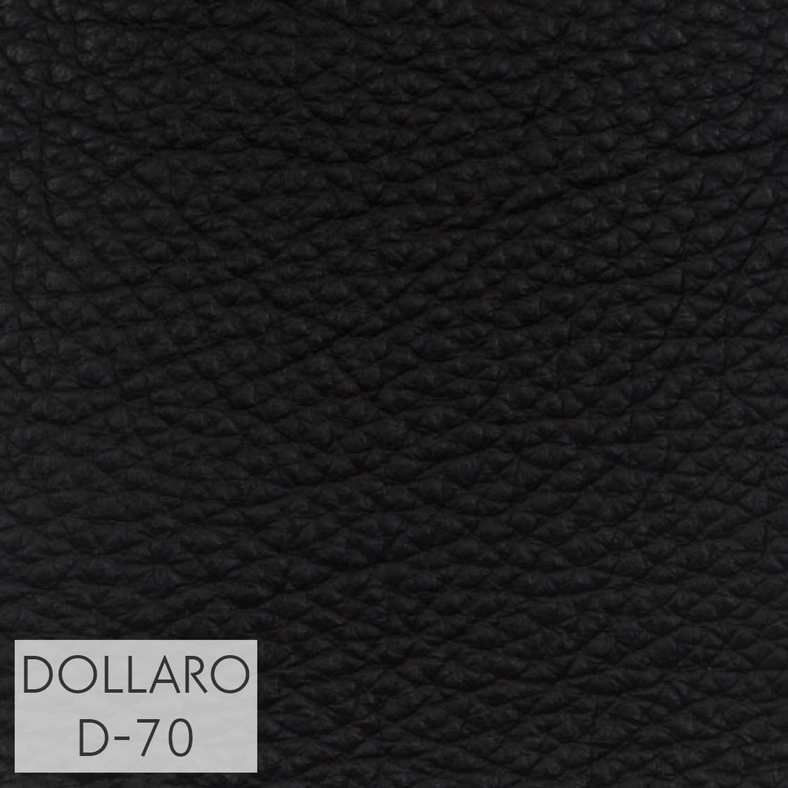 DOLLARO_D-70_GR_3.jpg