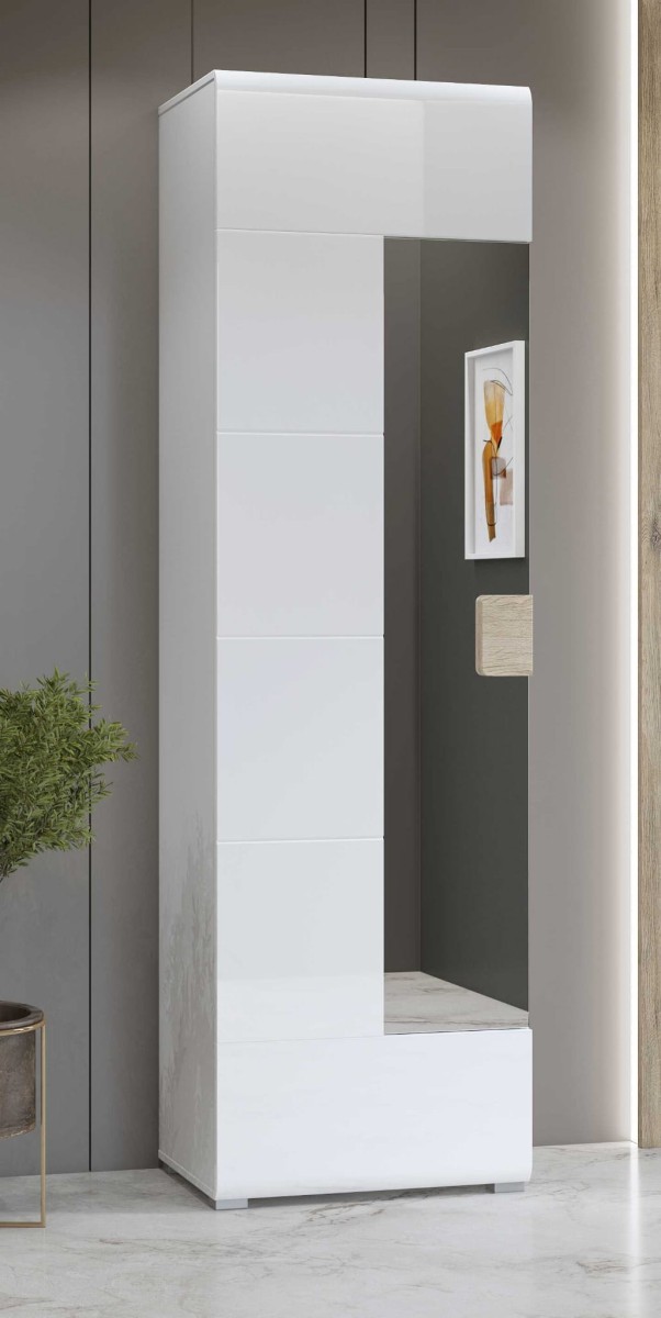 LEWA TOLEDO 2494DW17_1.jpg
