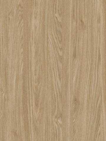 Dab-Olejowany R20348.jpg