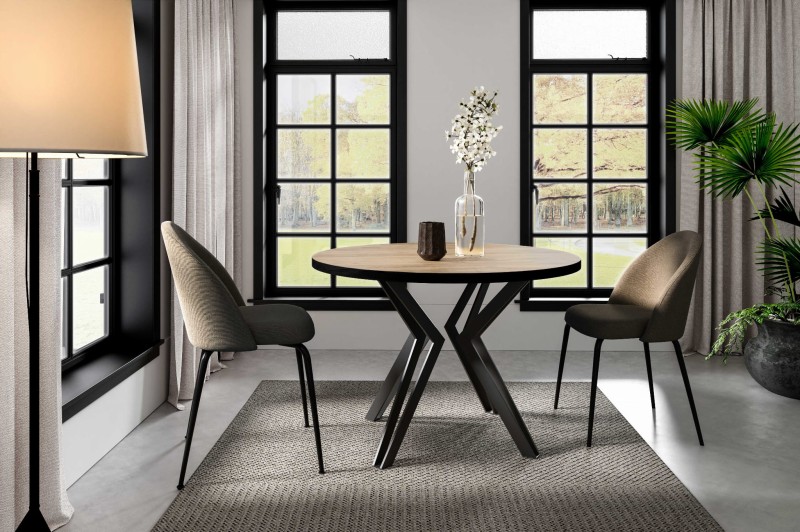 Randi Dąb Craft arranżacja złożony.jpg