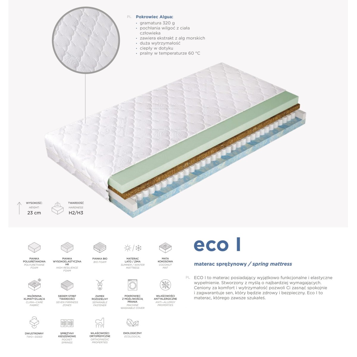 eco i.jpg